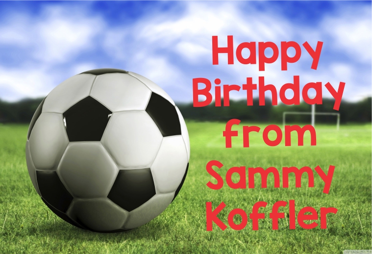 Soccer Ball on Grass