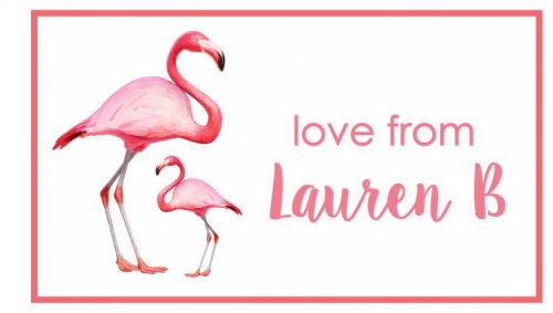 Flamingoes in a frame