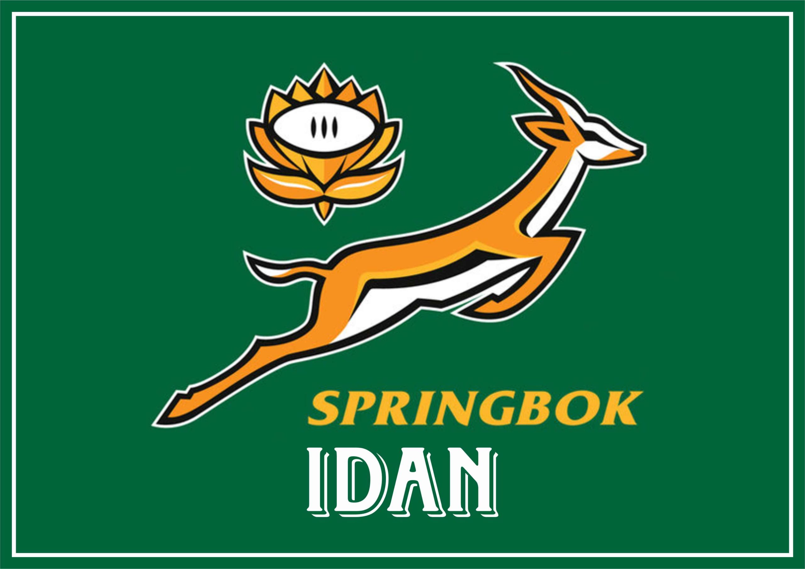 Bokke