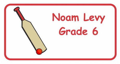 Cricker bat on white