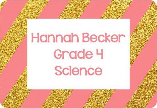 Glitter stripes gold & peach