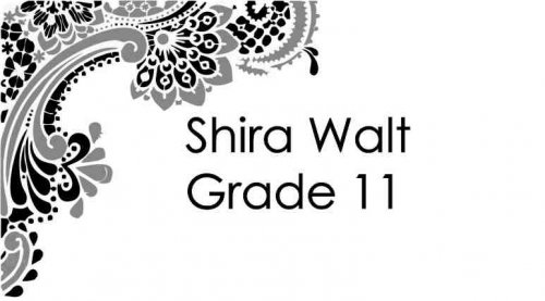 Paisley corner black n grey
