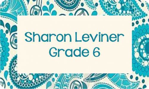 Paisley aqua n cream