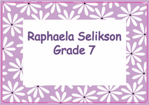 Border daisies purple