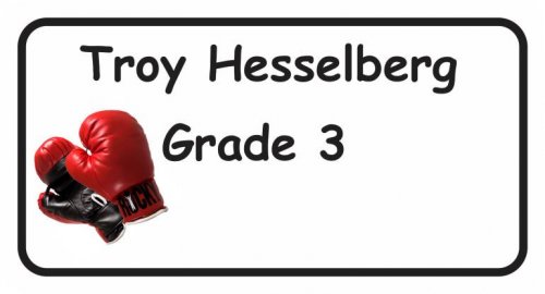 Boxing gloves on white