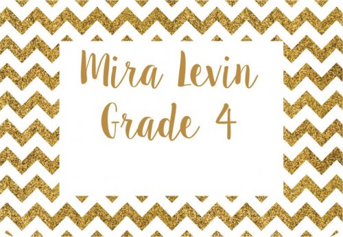 Glitter chevron gold & white