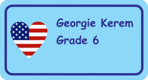 Flag USA heart on light blue