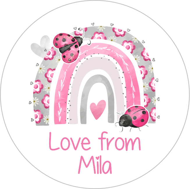 Ladybug rainbow
