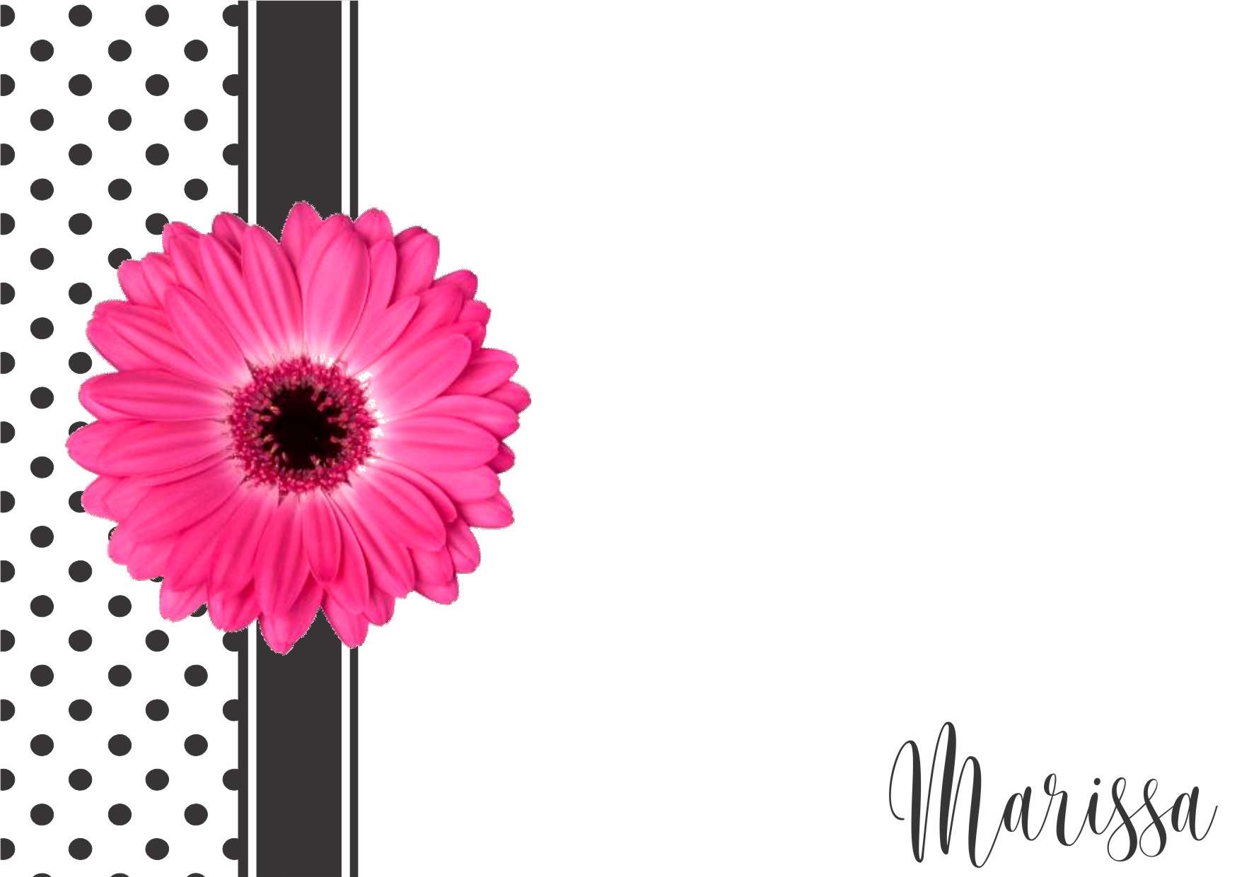 Gerbera pink