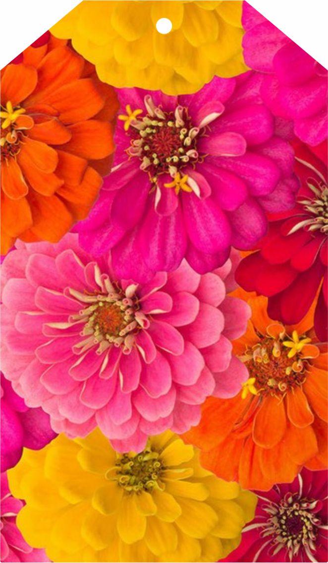 Spring flowers - Image 5