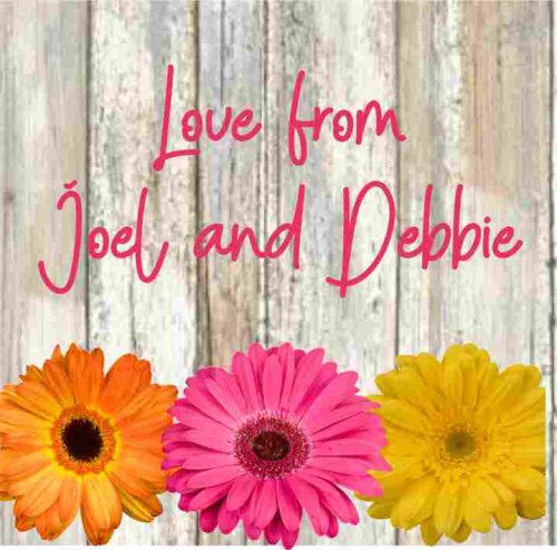 Rustic gerberas square