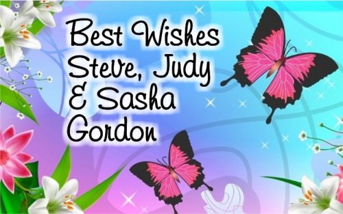 Butterflies pink & blue