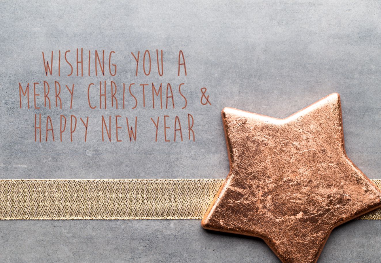 Christmas Rose gold star