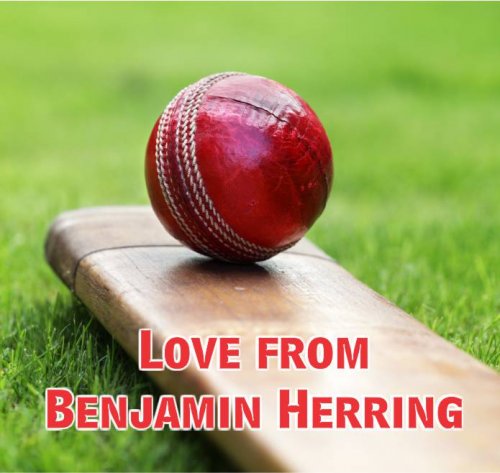 Cricket bat on grass