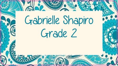 Border paisley cream n aqua