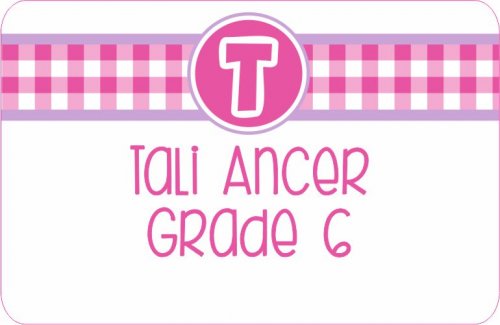 Gingham pink n purple