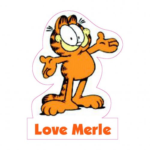 Garfield shapie