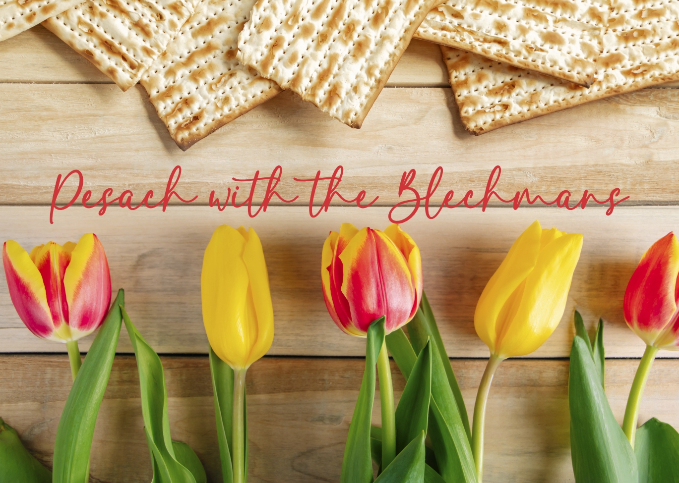 Pesach tulips yellow red