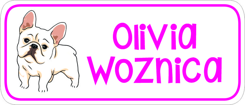 white french bull dog